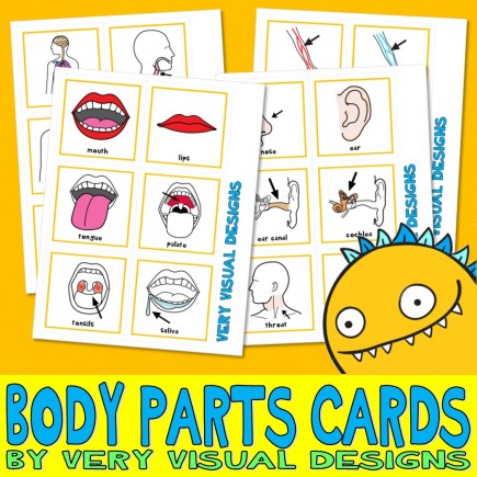 190 BODY PARTS PECS : Large Picture Communication Cards anatomy health autism aba speech therapy visual aid